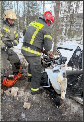 За прошедшую неделю подразделения территориального пожарно-спасательного гарнизона Ленинградской области реагировали на 98 оперативных событий: