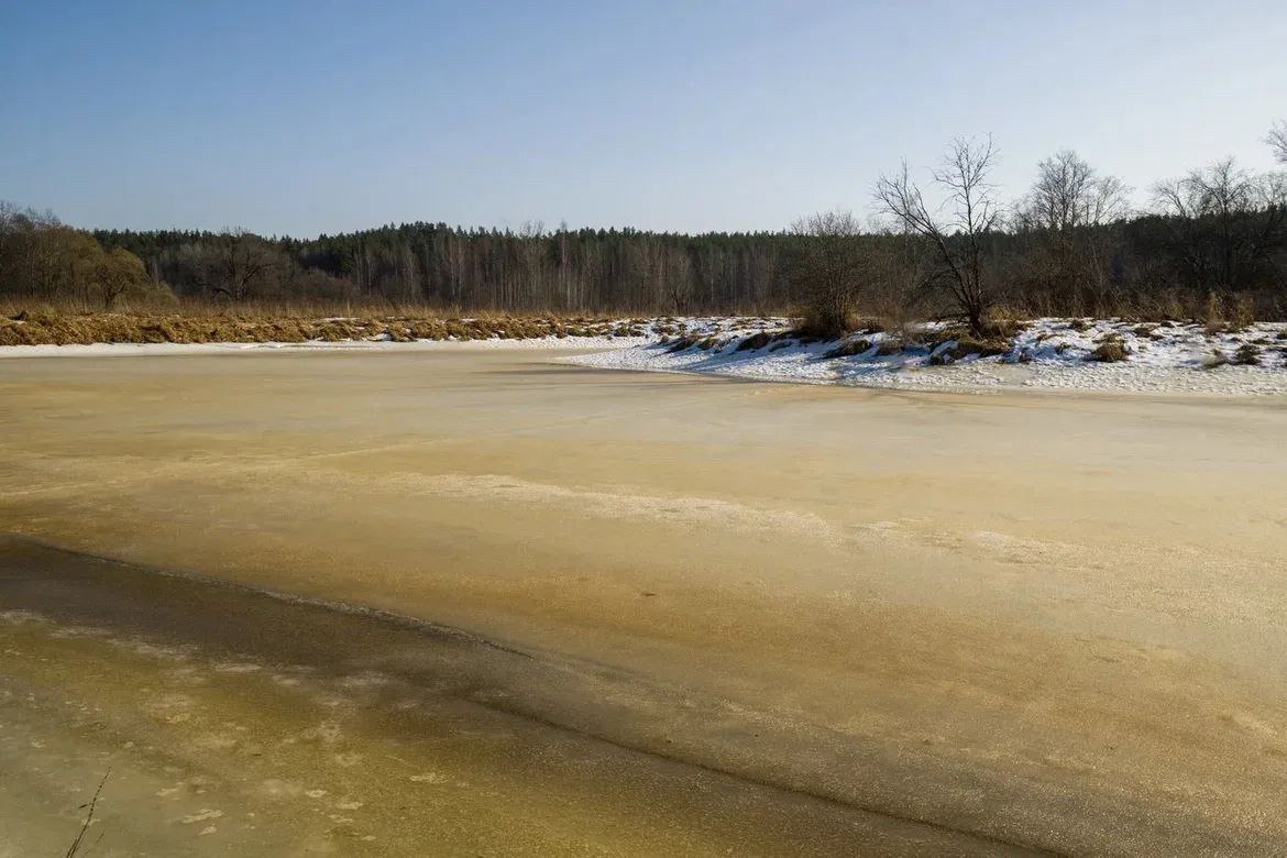 Александр Дрозденко поделился весенними снимками из Лужского района Александр Дрозденко поделился весенними снимками из Лужского района
