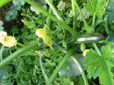 ����� ������� �������� ����� ����� �� ������: ��� ������?