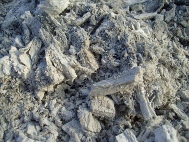 ��� ��������� ������������ ���� ��� ��������� � �������� ������