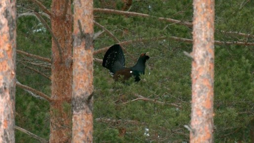 ������� � ���������� ������ ���������� � �������� ������