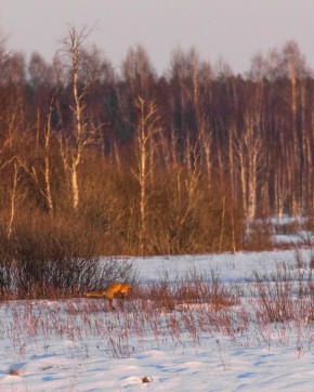 � ����������� ���������� ������ ��������� � ����� ���������� ������