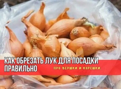 ��� �������� ���������������� ������ ��� ������� ���� ��� �������