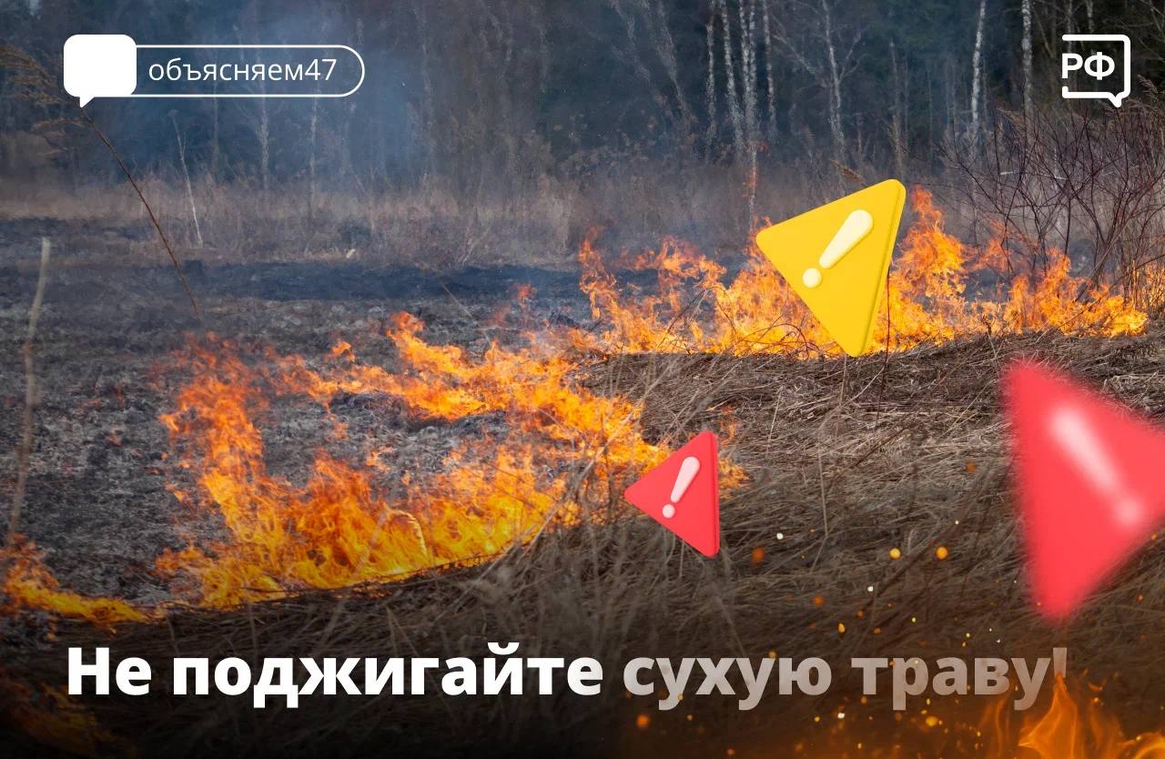 С приходом теплой погоды в Ленинградской области начали фиксировать первые палы травы