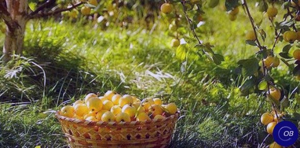 ����� � ����: ��� ������������ � ������� ������