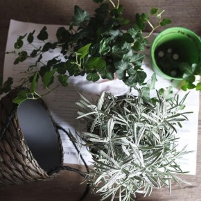 ��� ��������� ������������ ��������� ��������: ������ � ������������