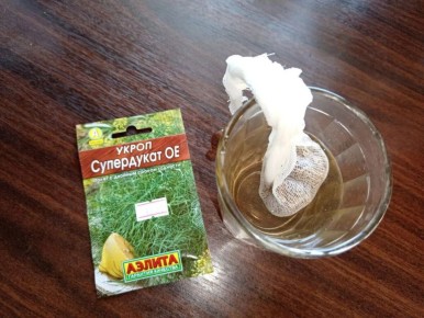 ��� ������� ��������� �����: ������� ����������� �����