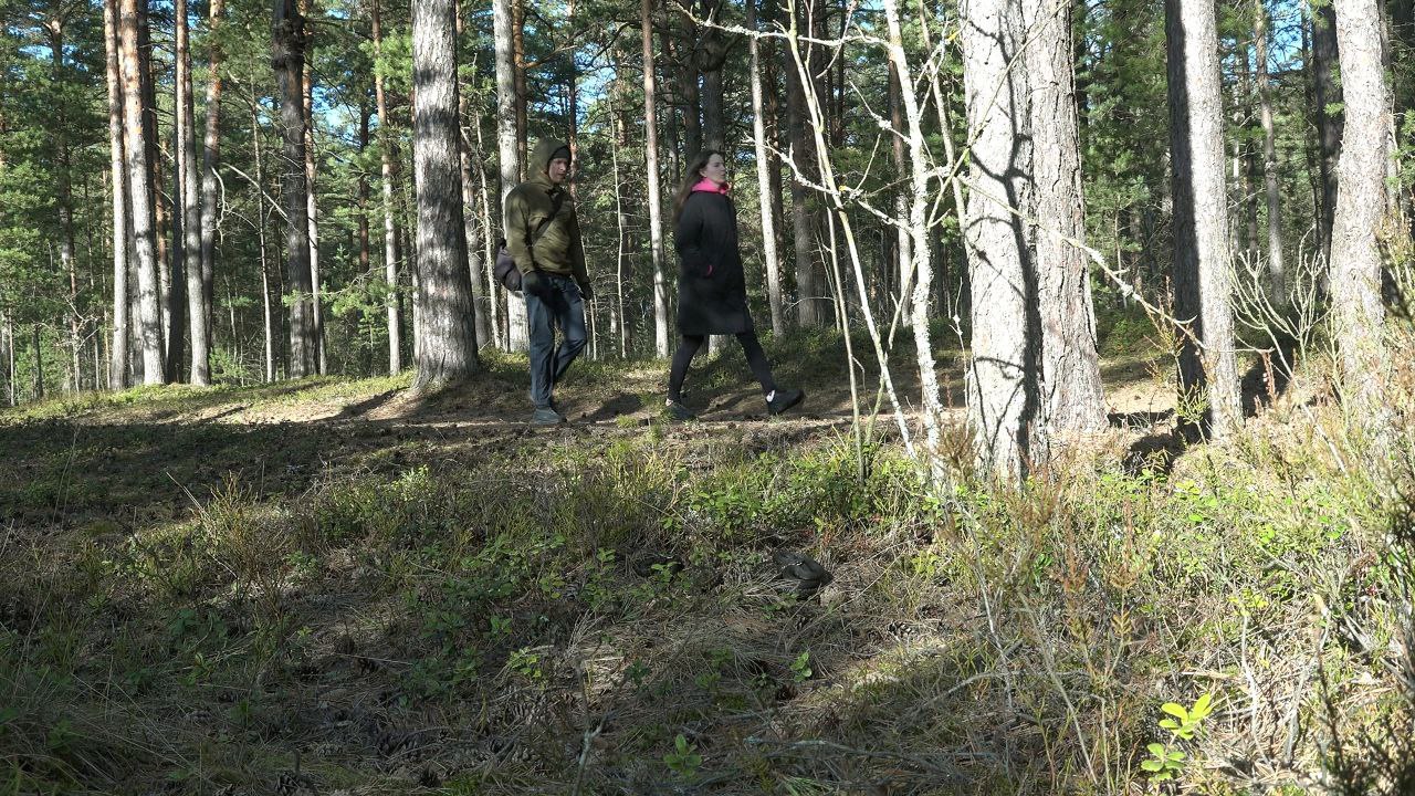 В Ленобласти проснулись гадюки В Ленобласти проснулись гадюки
