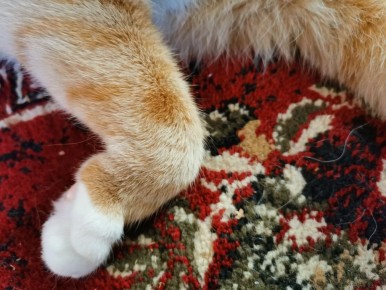 ��� ��� ������: ��� ������� ������� ������� � ��������� ��������