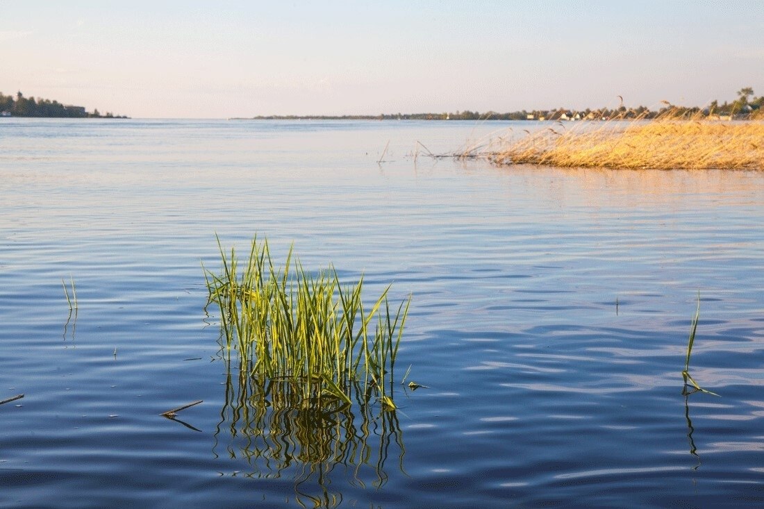 В Ленобласти создали охранную зону вокруг памятника природы «Нижневолховский» В Ленобласти создали охранную зону вокруг памятника природы «Нижневолховский»