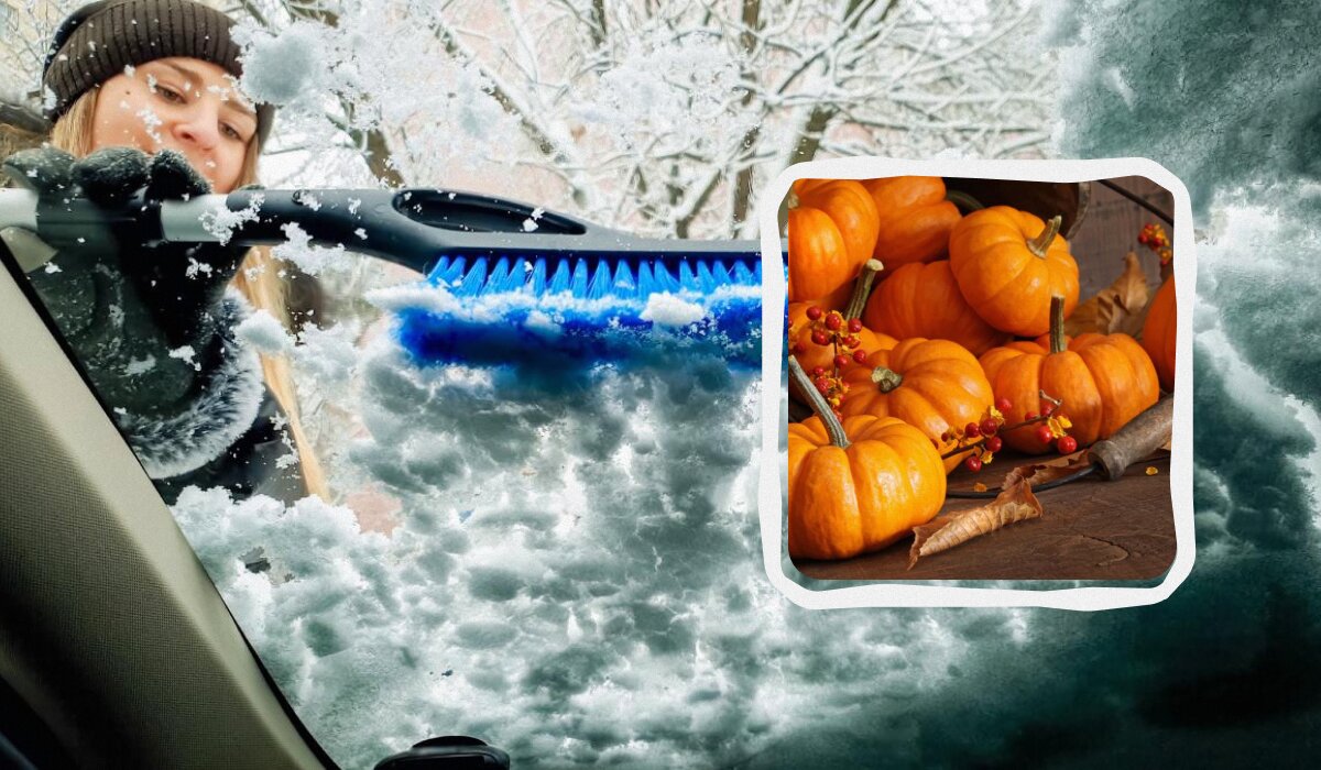 Тыквенная магия: как освободить лобовое стекло от льда