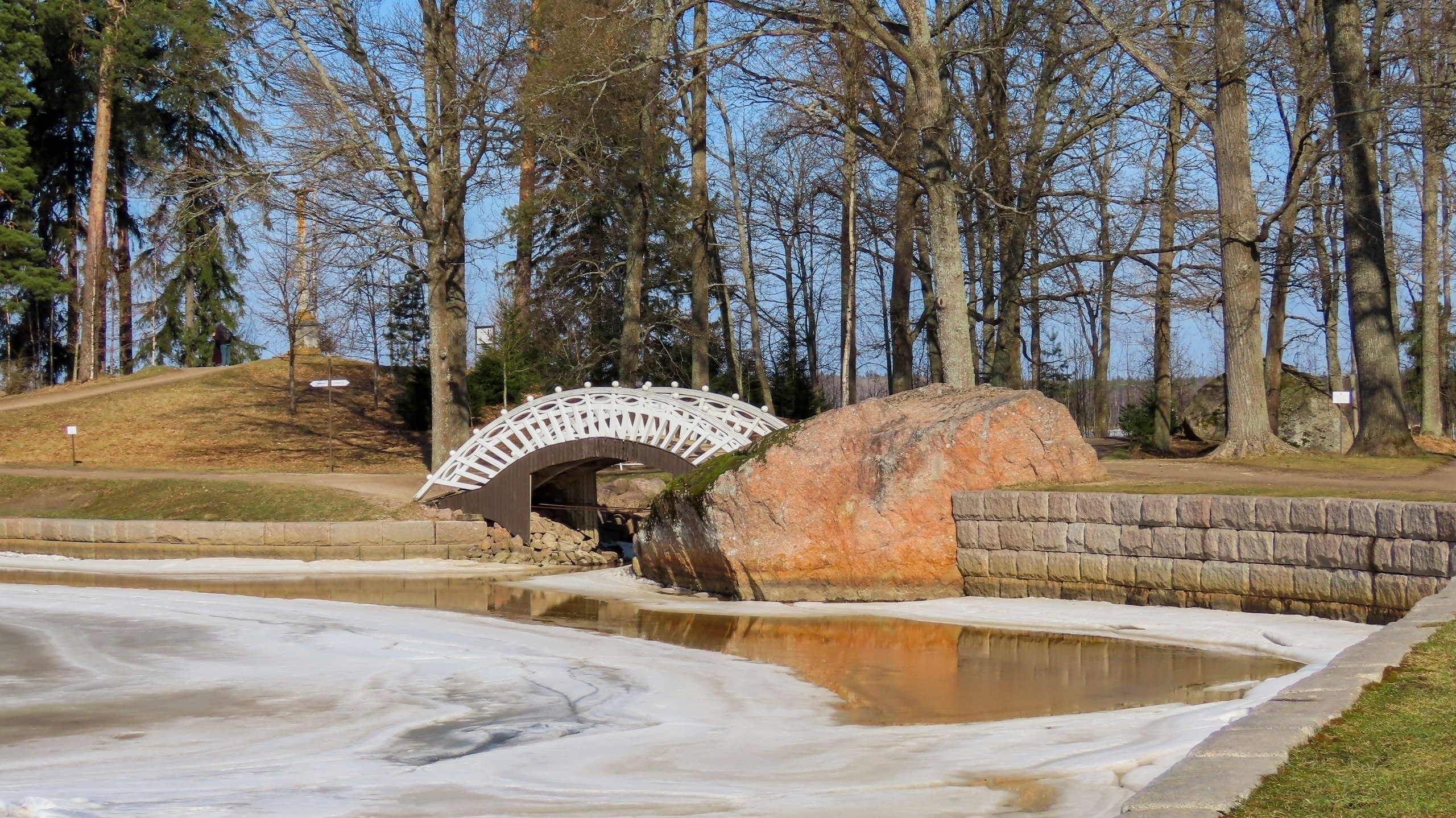 Весенние птичьи концерты зазвучали в парке Монрепо Весенние птичьи концерты зазвучали в парке Монрепо