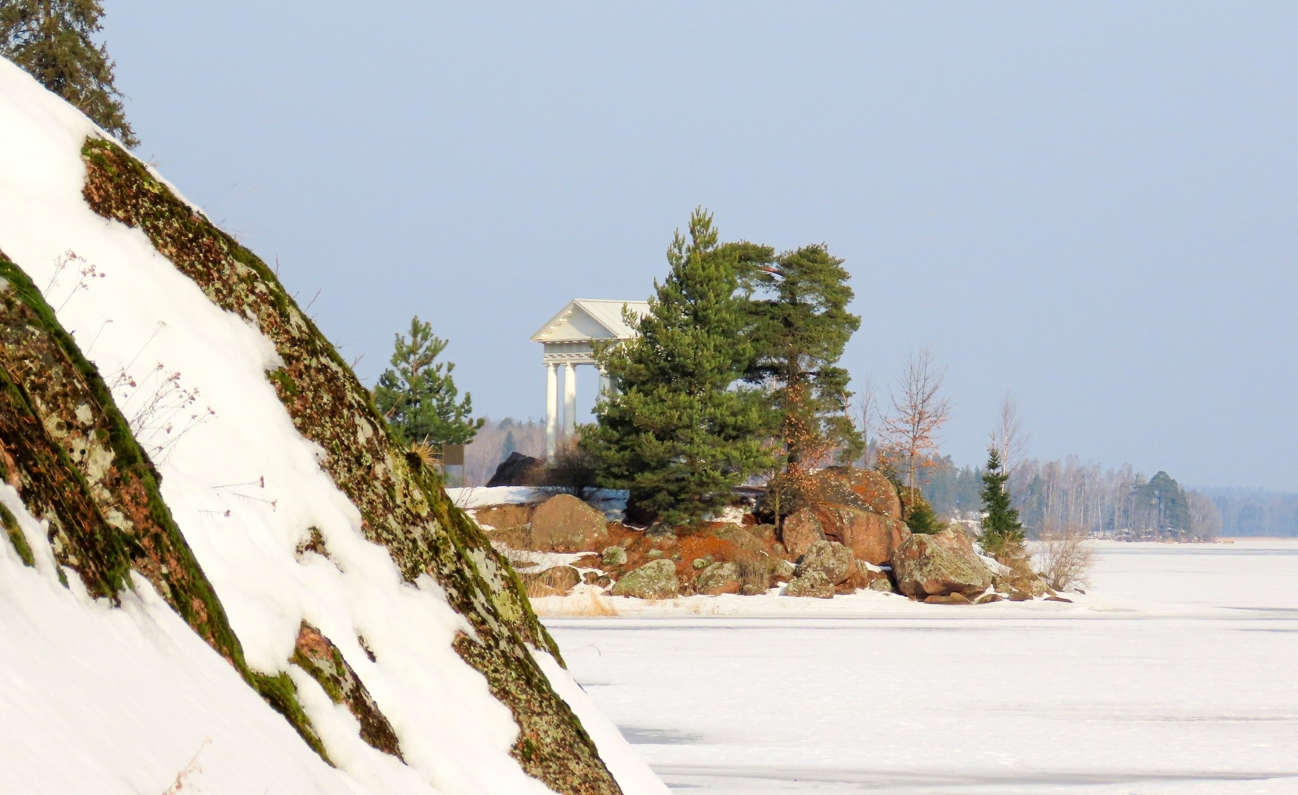 Весенние птичьи концерты зазвучали в парке Монрепо Весенние птичьи концерты зазвучали в парке Монрепо