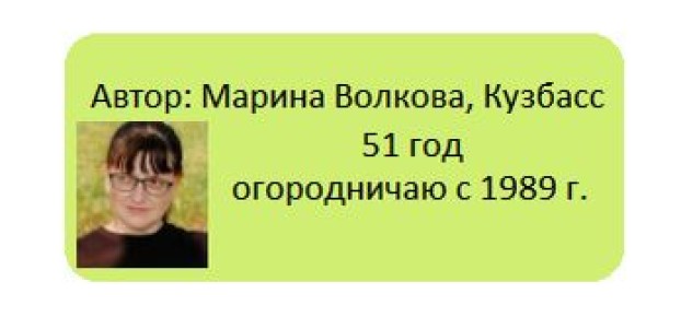 Что посадить в июне: все еще есть шанс на урожай