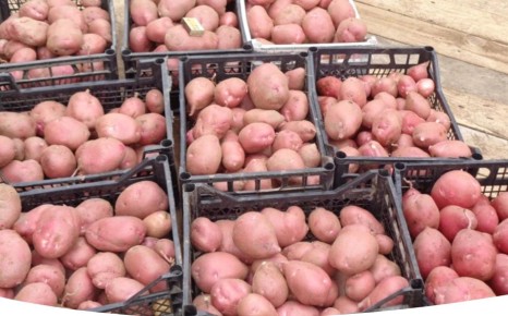 ��� ��������� ����������� ��������� ��� ���������� ������� �� ����� �������