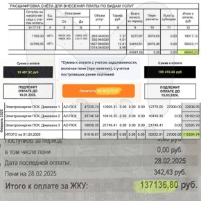 Счета за электричество в 175К, 159К и 137К рублей продолжают получать жители Ленобласти