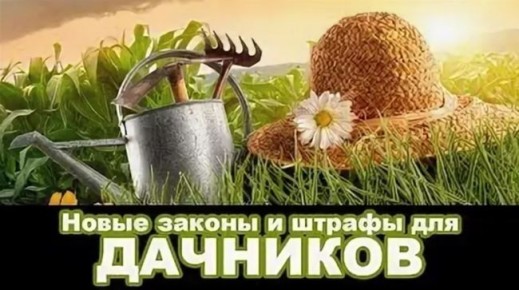 � ����� 2026 ���� �������� ������ ��������� ������ �� ���������� ��������