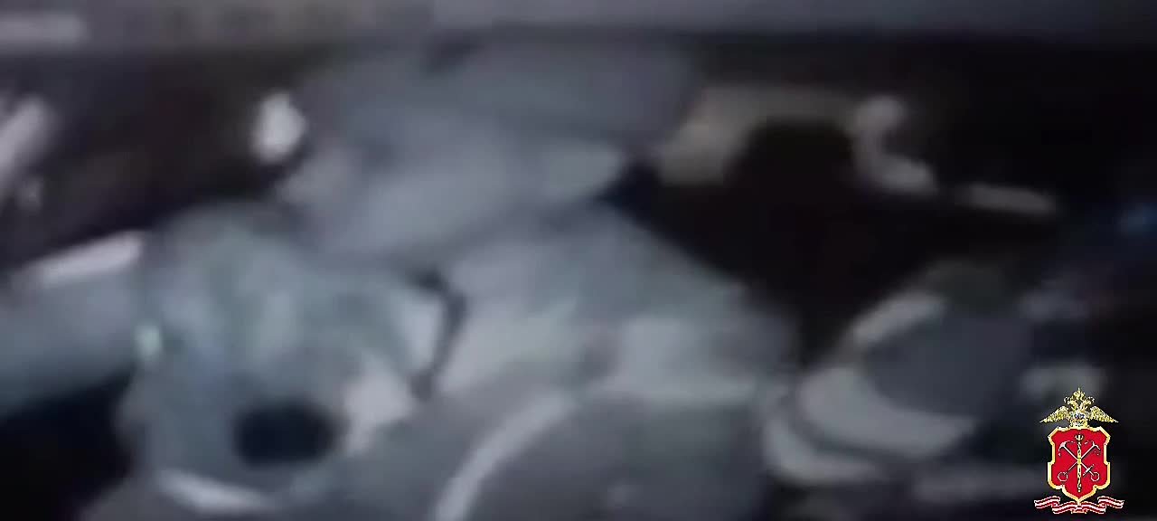 Полицейские Ломоносовского района Ленобласти с применением табельного оружия задержали нетрезвого водителя