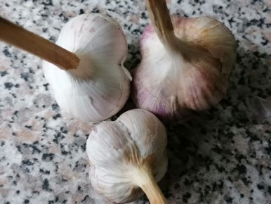 ������������� ����: ��� ��������� ������ �� ��������� � ���������