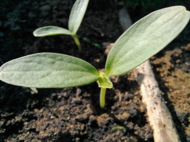 ��� ��������� ������� ������� ������� ��� ����������