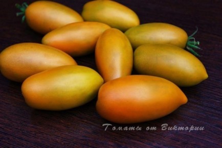 ����� ������: ������� �����-����� ��� ������ �������