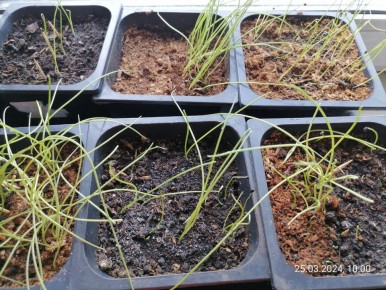 ������� �������� ������� ����: ������ ��� �������� ������ � �����