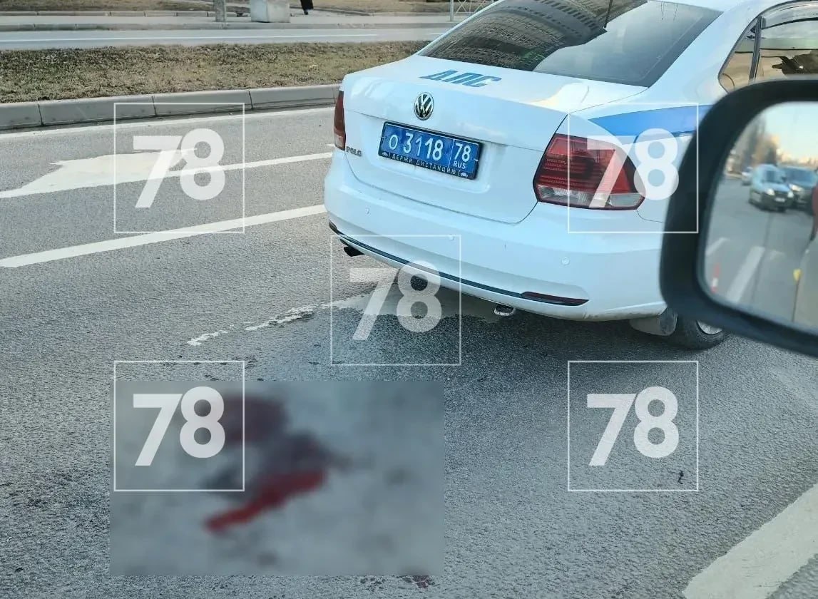 Беременную женщину на перекрёстке Парашютной и Байконурской сбил полицейский Беременную женщину на перекрёстке Парашютной и Байконурской сбил полицейский