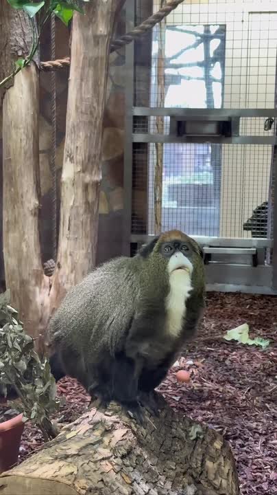 Встретились два одиночества