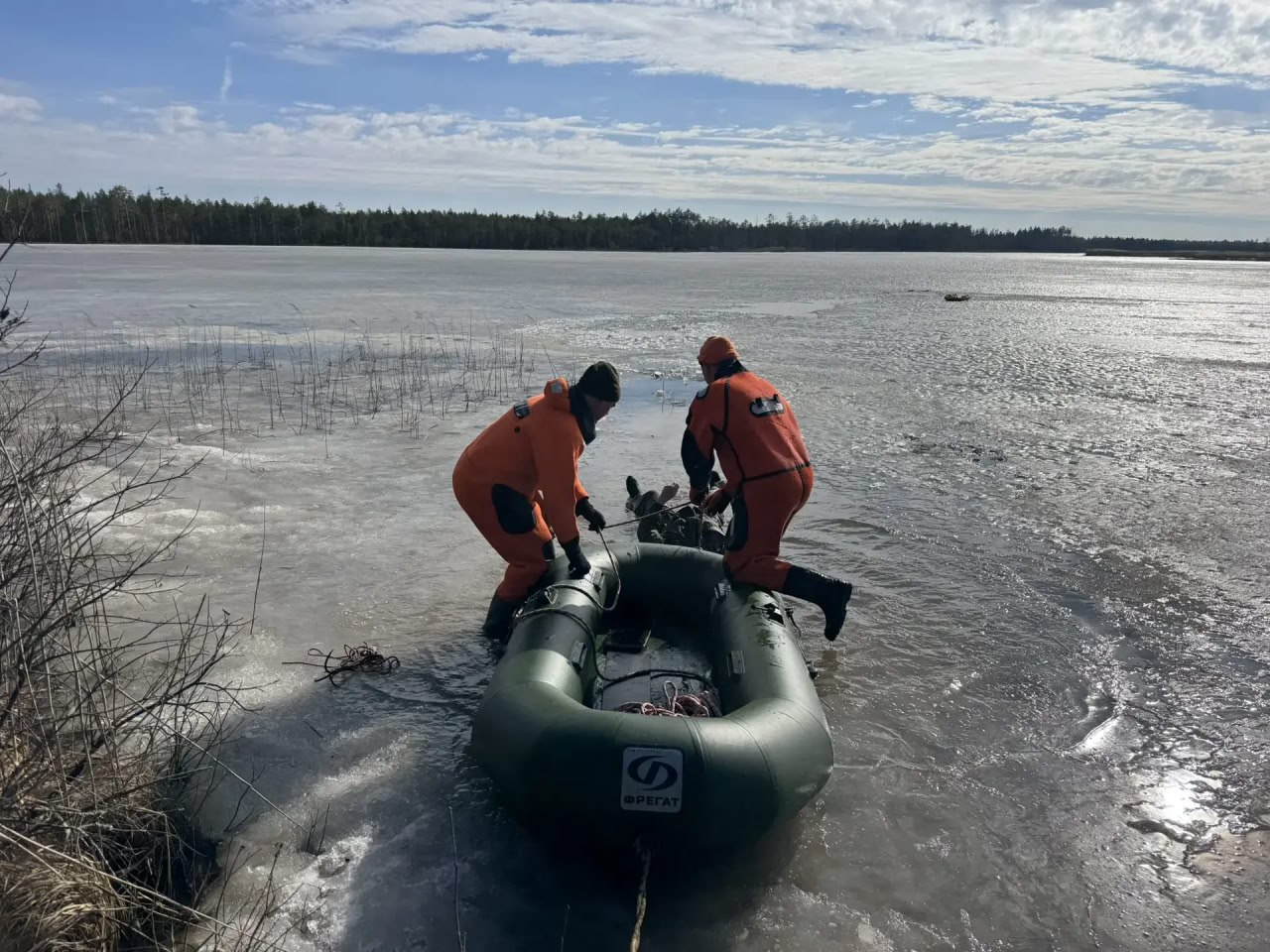 За прошедшие сутки подразделения территориального пожарно-спасательного гарнизона Ленинградской области реагировали на 51 оперативное событие: