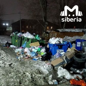 Крысы поселились на горах мусора в Новосибирске