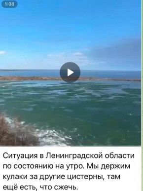 Юлия Витязева: Вражеские сводки в экстазе от того, что жители Ленинградской области который день выкладывают подробные отчеты о результатах работы вражеских беспилотников