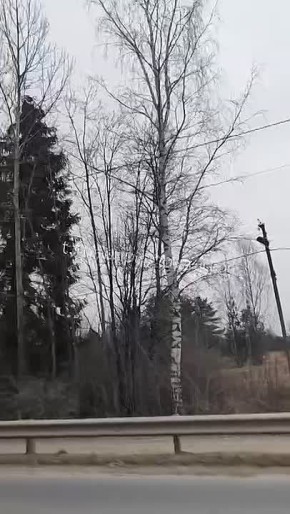 � ������ �� ���������� ����� ���������� �������������� ������������, �� � ������������� ������ � ���� ��������� ��������������� ��������