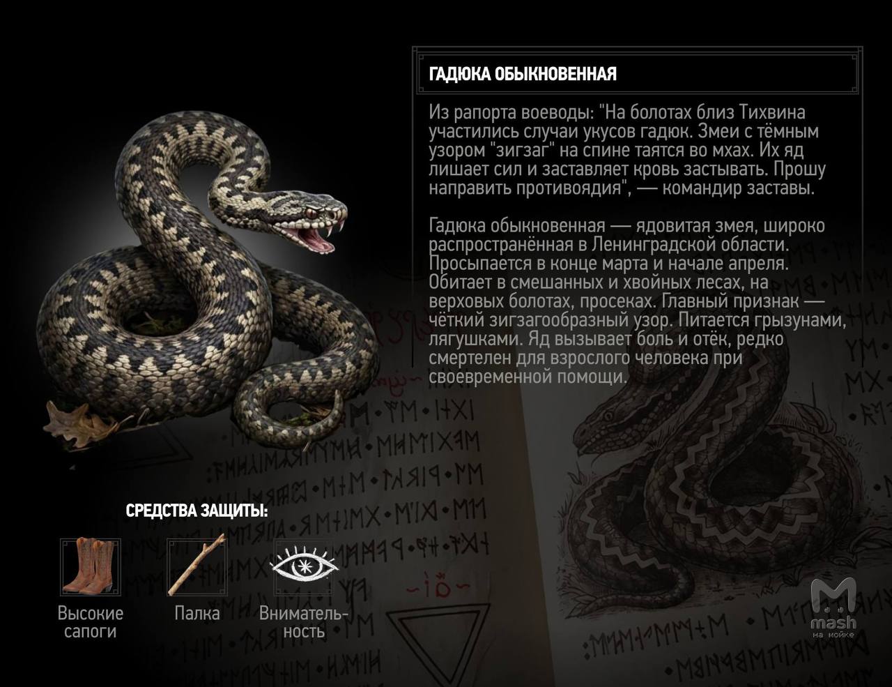 Ленобласть — немножко Австралия, со своими кровососками и смертоносной травой