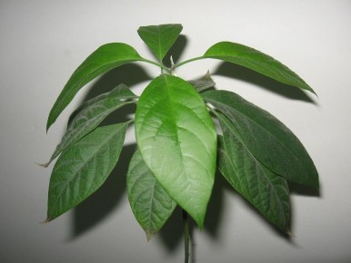 ��� ��������� ������� ����: ������� ��� ��������� �����