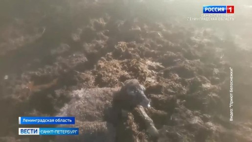 � ��������� "����� ����������" ������� �����������