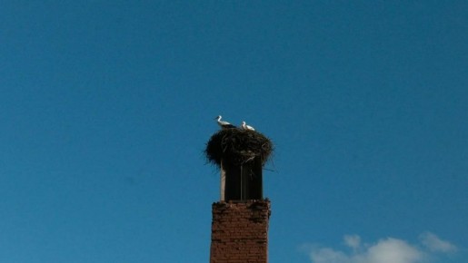 ���� ����� ������ � ����� ������ ��������� � ����������