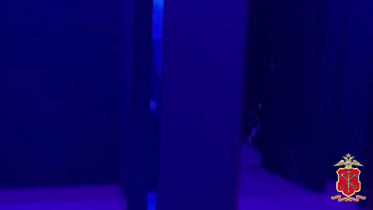 В центре Петербурга полицейские выявили нарушения в баре с «веселящим газом» и контрафактным алкоголем