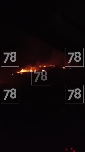 Поля полыхают в Гатчинском районе Ленобласти – как сообщил очевидец, пожар произошел возле деревни Новосиверская