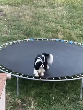 Утро 1 апреля жителя Ленинградской области: проснулся, схватился за телефон, проверил - беспилотники ночью не летали, телега на месте