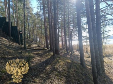 ��������������� ����������� �������� ���������� ��������� ������������� ���������������� � ���������� �������� ��������� ������������ ������