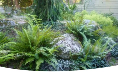 ����������� � ����: ������� ������� � �����