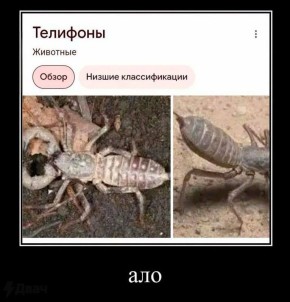 Три сотни простых телефонов закупило правительство Ленобласти