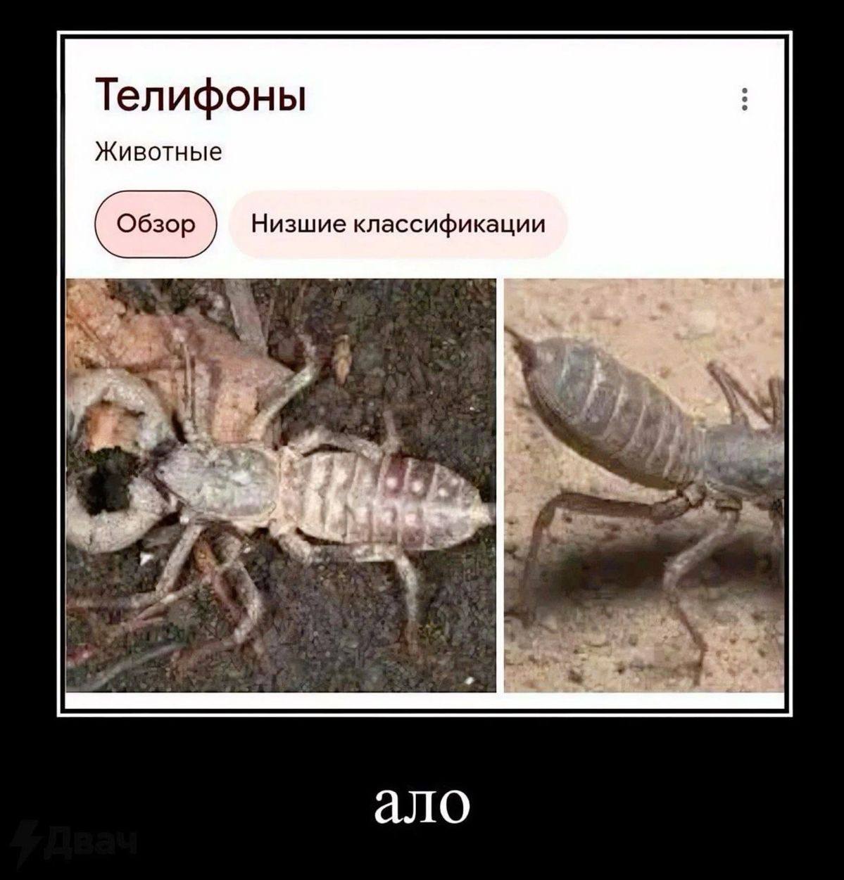 Три сотни простых телефонов закупило правительство Ленобласти