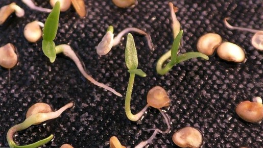 ��� ������� �������� ����� �� 10 ���: ������ ��� ���������