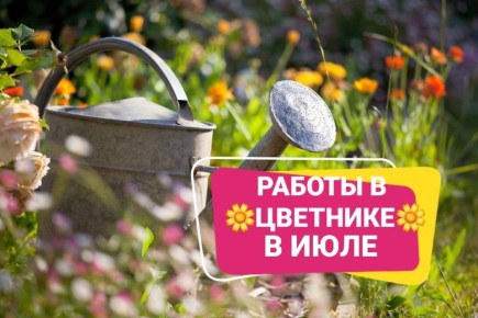 ��� ������ � �������� � ����