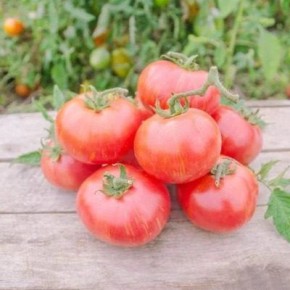 ����� ����: ������� ��������� ����������� � ����������� ����