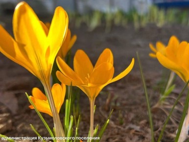 ������ ������� ��� ������������ � ���������� � ����������, �� ����� �� ������� ������