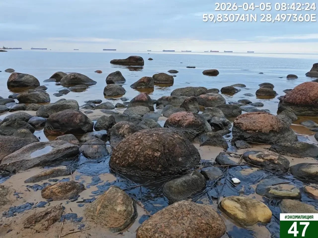 Комментарий Председателя Комитета государственного экологического надзора Ленинградской области Рамилы Агаевой: