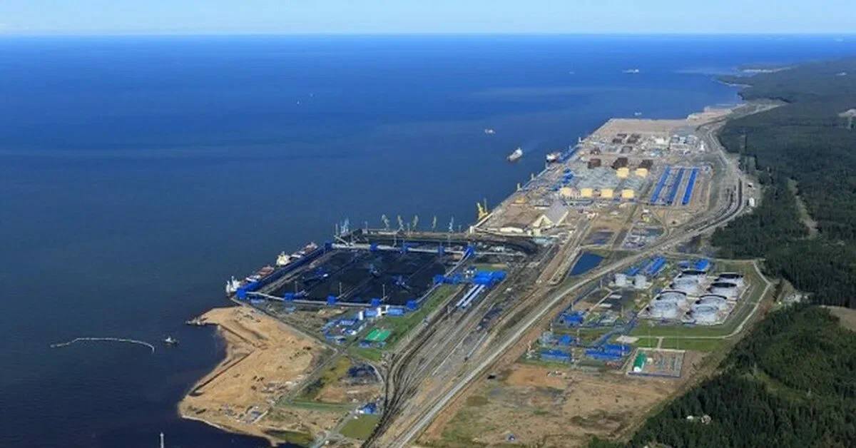 Александр Коц: Две новости про Усть-Лугу. 1 Ключевой российский порт на Балтике — Усть-Луга — возобновил отгрузку нефти после нескольких дней перерыва, вызванного многочисленными атаками украинских дронов