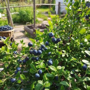 ��� ��������� ��������: ������� ��� ��������� ������